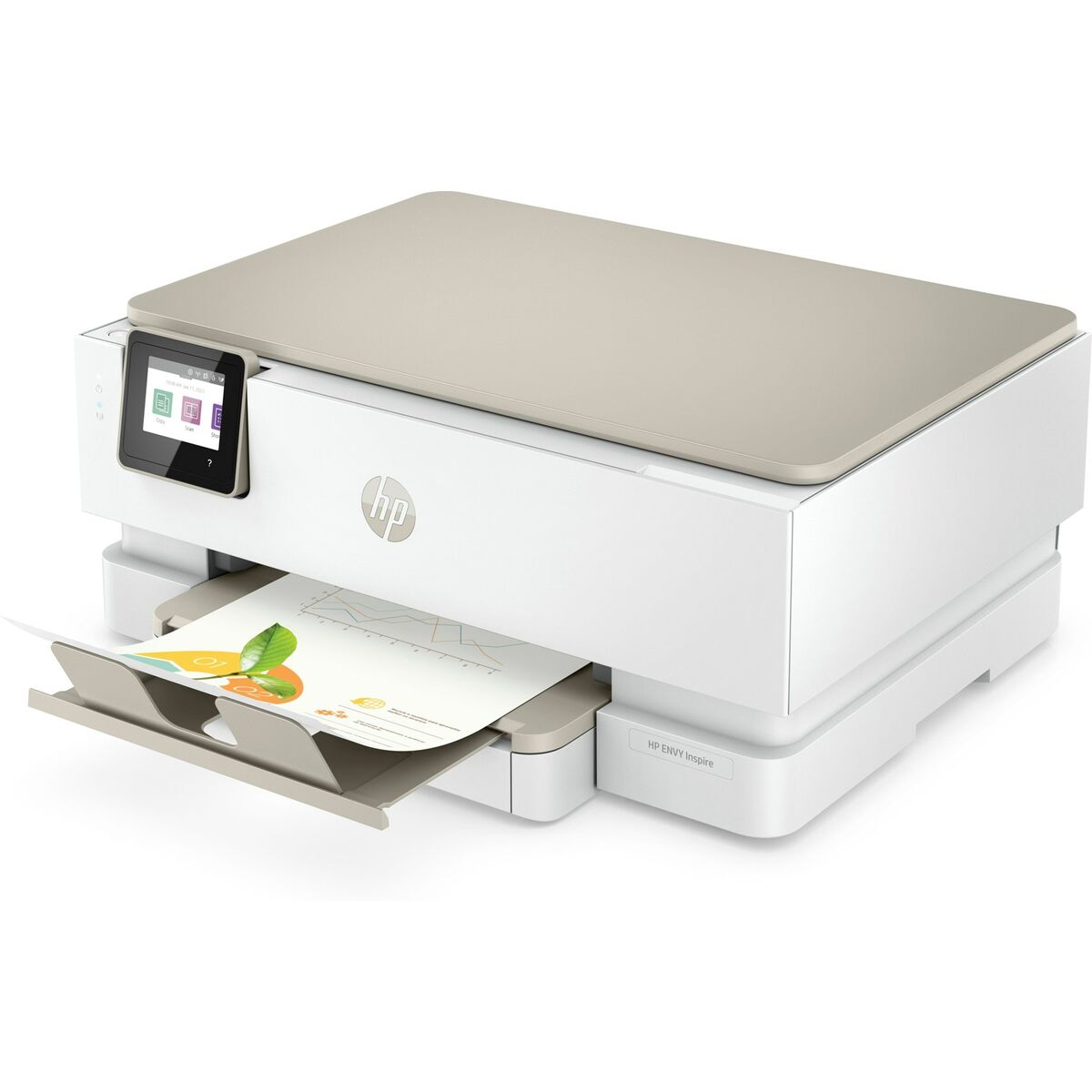 Принтер HP 242P6B V2